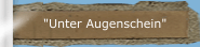 "Unter Augenschein"